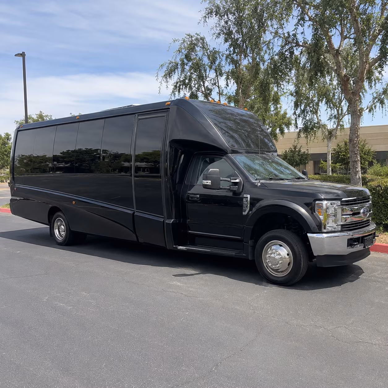 Group beside a Mercedes Sprinter limo in Lafayette